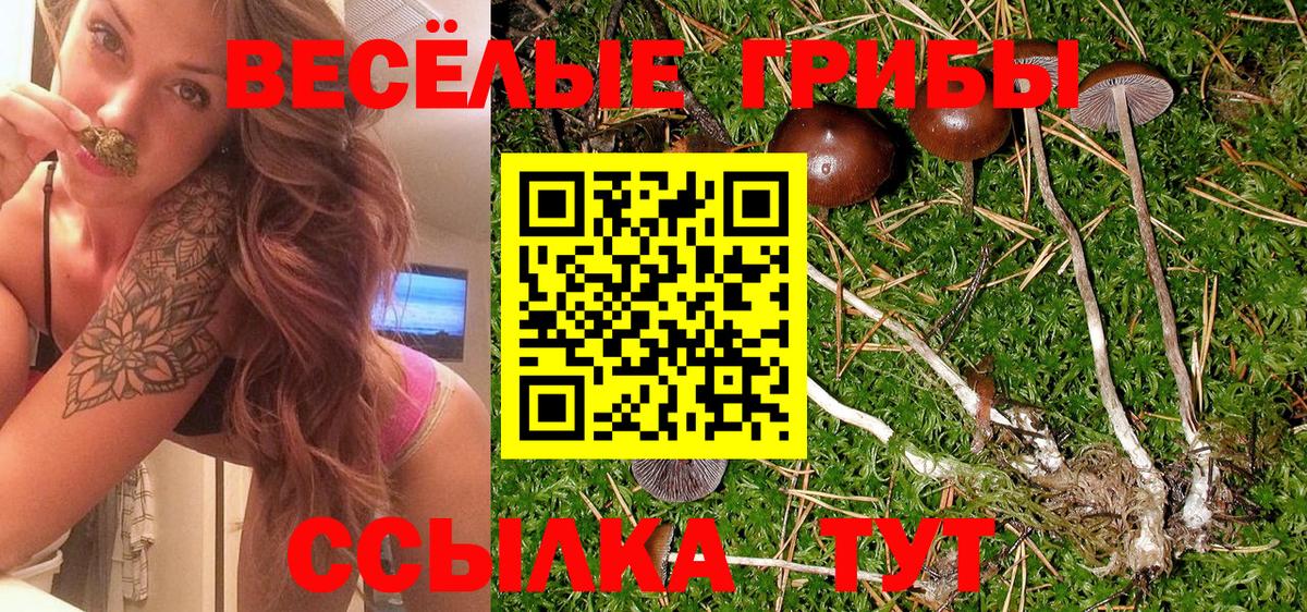 Галлюциногенные грибы Psilocybe Уварово